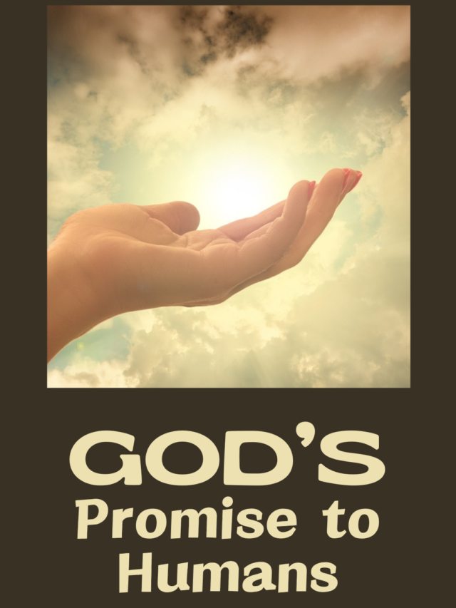 God's Promise