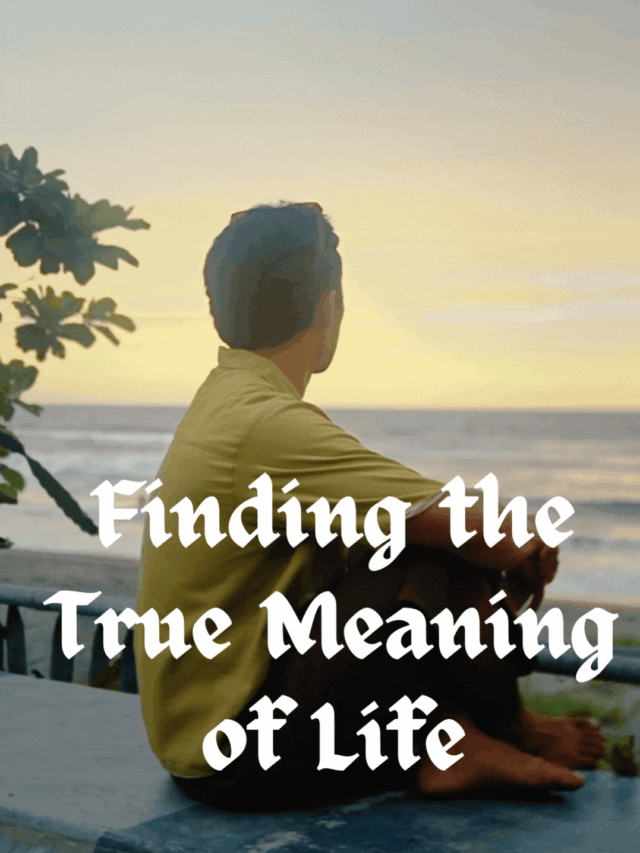 Finding the True Meaning of Life