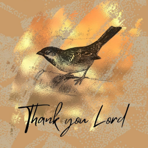 Thank You Lord