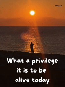 the privilege