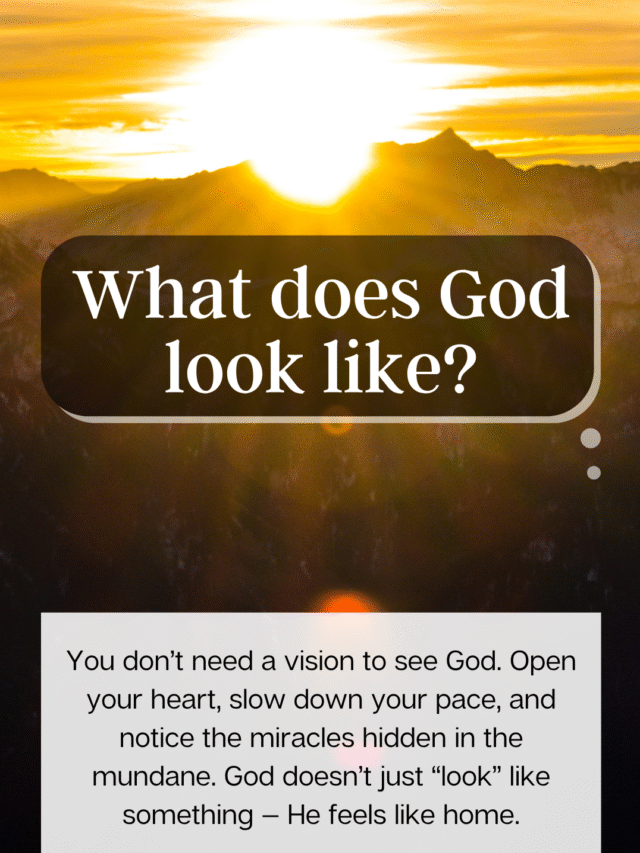 What Does God Look Like? : A Spiritual Journey to the Unseen