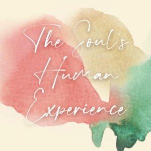 Soul's Human Experience