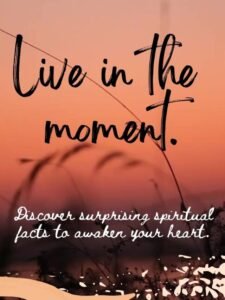 Live in the Moment