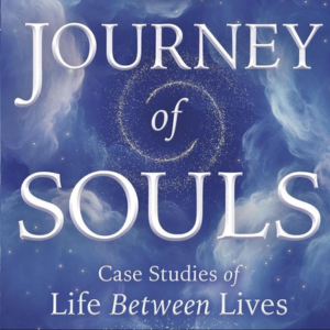 Journey of Souls