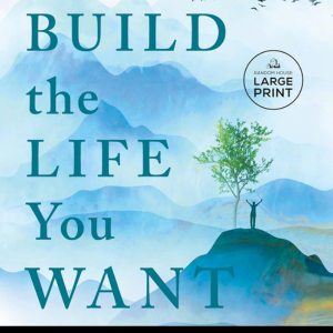 Build the life you want