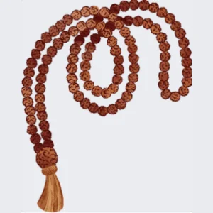 Rudraksha