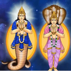 Rahu and Ketu