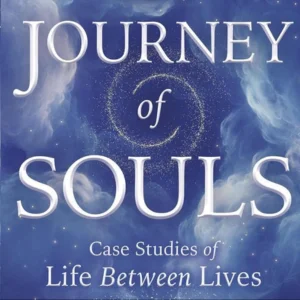 Journey of Souls