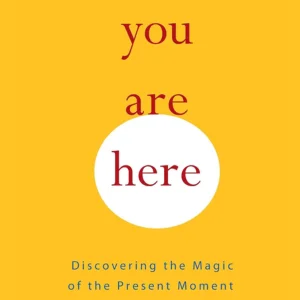 you are here