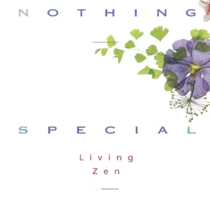 Nothing Special