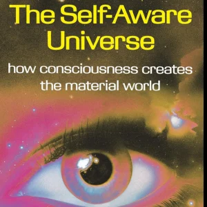Self Aware Universe